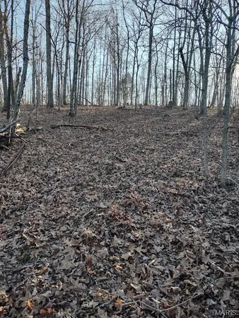 $115,000 | 0 Moonshine Pass, Salem, MO 65560