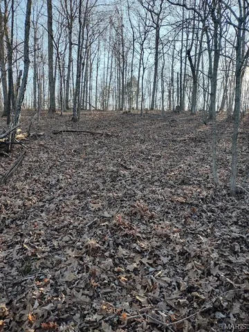 $115,000 | 0 Moonshine Pass, Salem, MO 65560