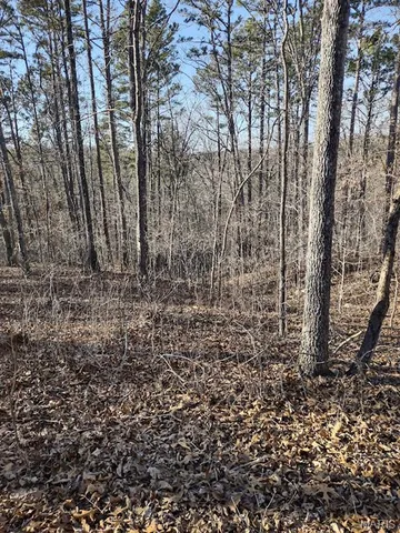 $115,000 | 0 Moonshine Pass, Salem, MO 65560