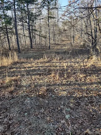 $115,000 | 0 Moonshine Pass, Salem, MO 65560