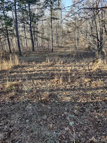 $115,000 | 0 Moonshine Pass, Salem, MO 65560