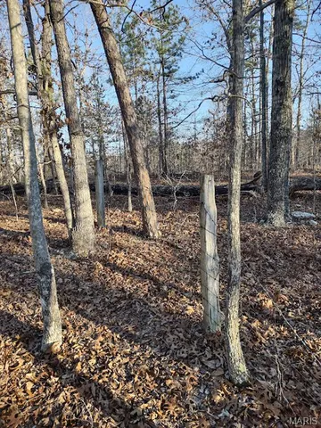 $115,000 | 0 Moonshine Pass, Salem, MO 65560