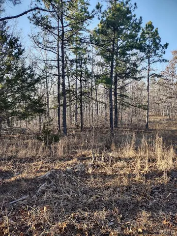 $115,000 | 0 Moonshine Pass, Salem, MO 65560