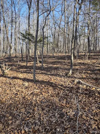 $115,000 | 0 Moonshine Pass, Salem, MO 65560