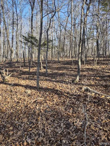 $115,000 | 0 Moonshine Pass, Salem, MO 65560