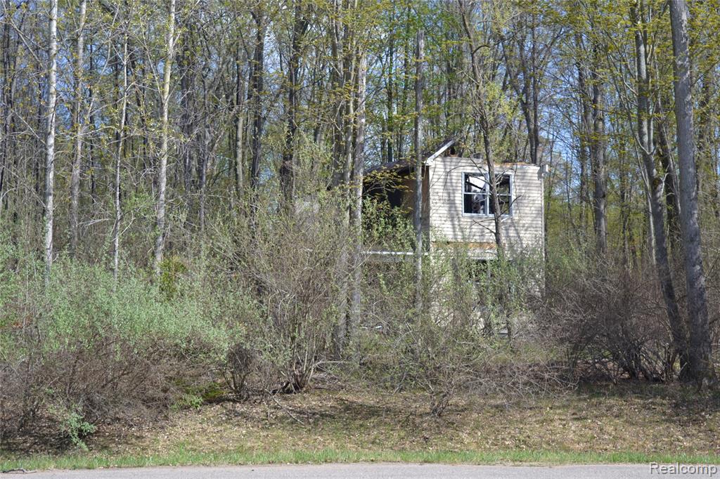 0 Oak Ridge Court Prescott, MI 48756 - Photo 12 of 20