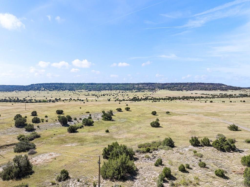 7015 South Burnt Mill Road Beulah, CO 81023 - Photo 42 of 55