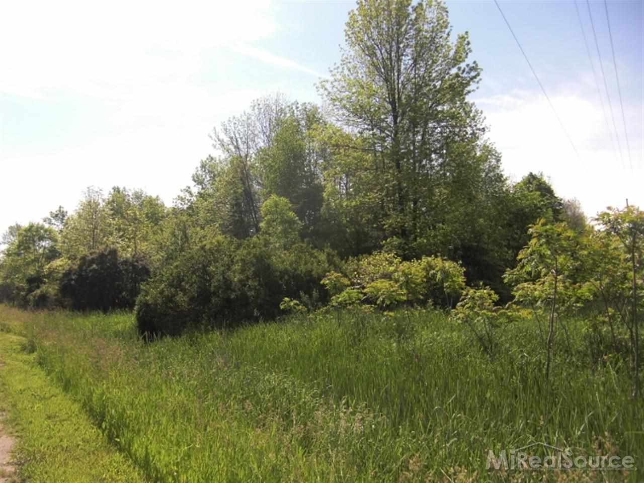 0 Swayze Road Harbor Beach, MI 48441 - Photo 3 of 3 31184172-2.JPG