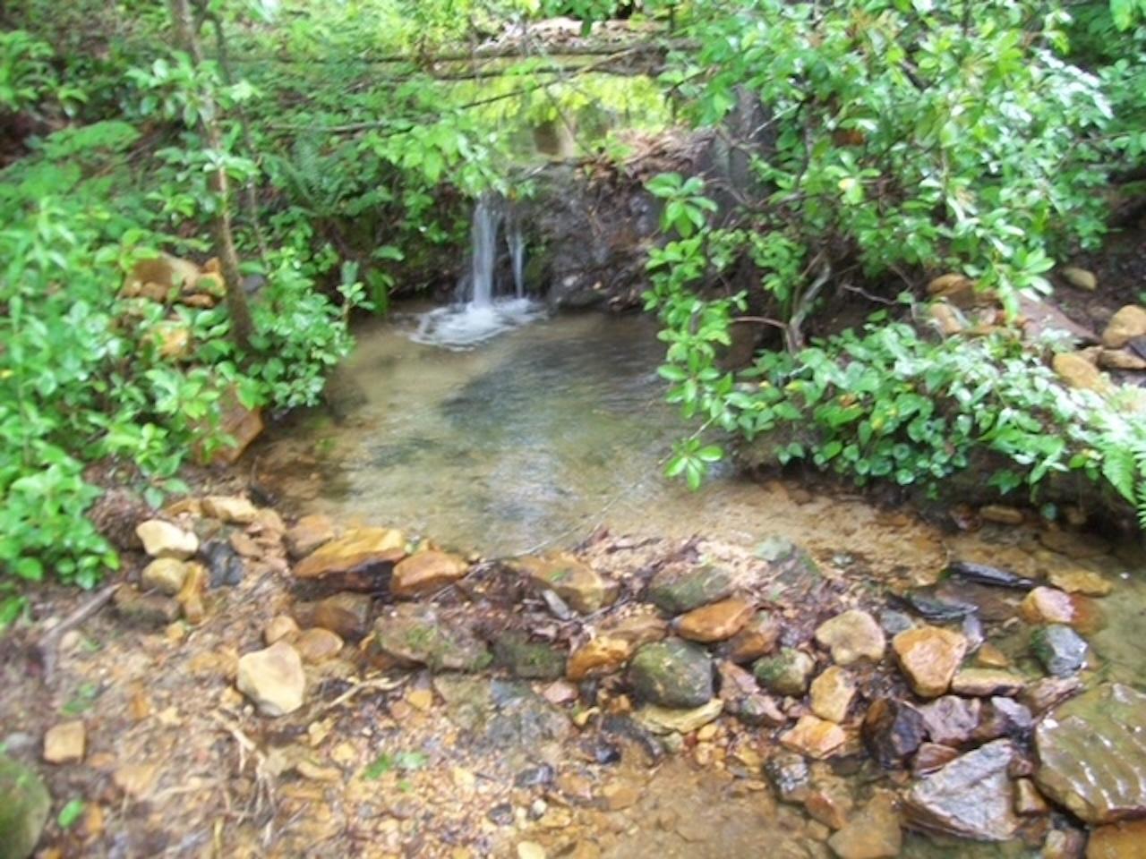2504 Steve Brown Road Bean Station, TN 37708 - Photo 11 of 14 Stream3