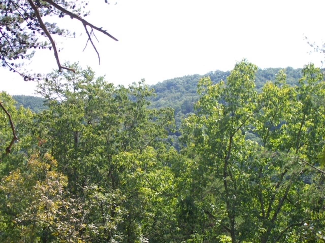 2504 Steve Brown Road Bean Station, TN 37708 - Photo 13 of 14 View3