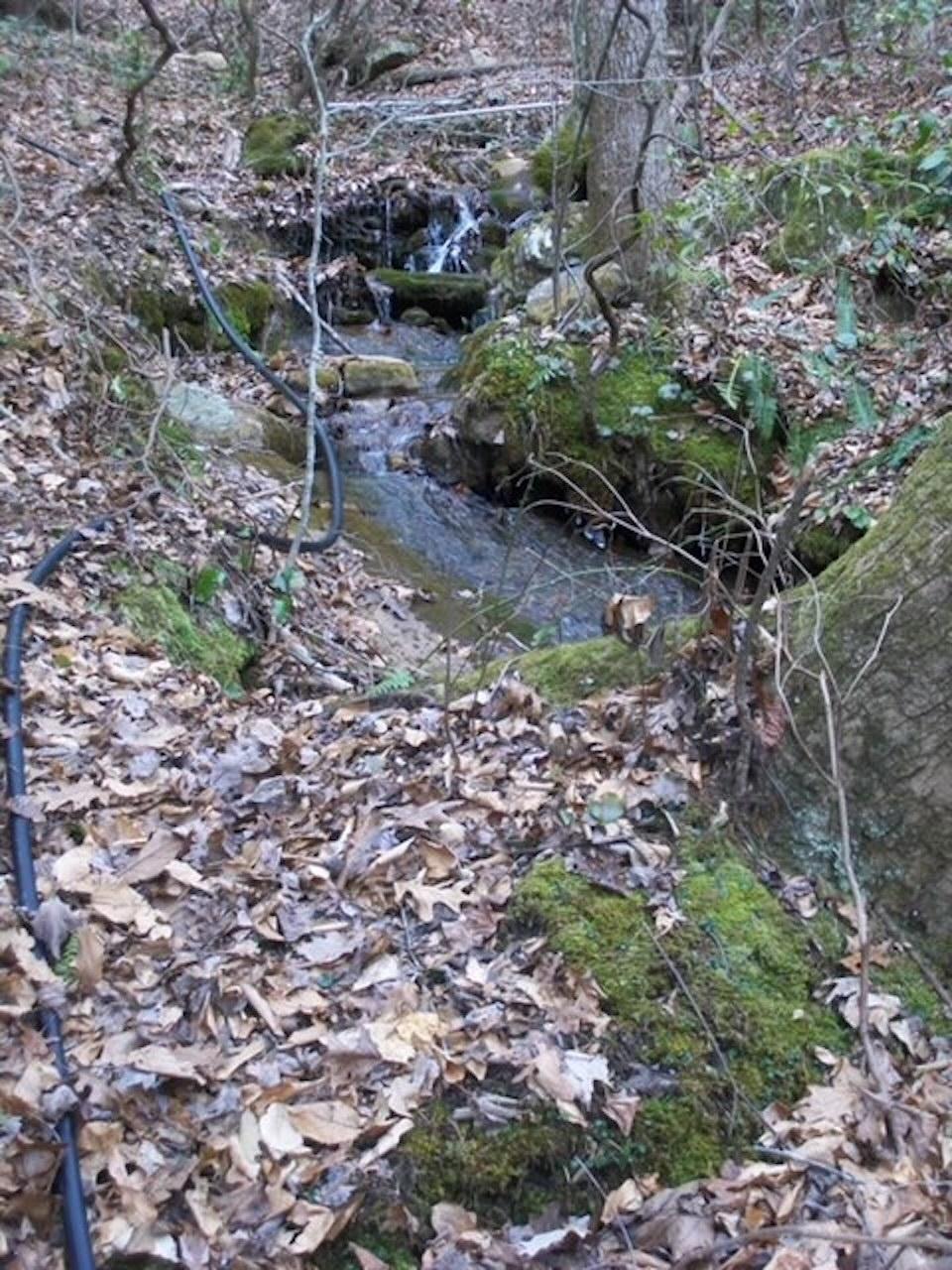 2504 Steve Brown Road Bean Station, TN 37708 - Photo 9 of 14 Stream1