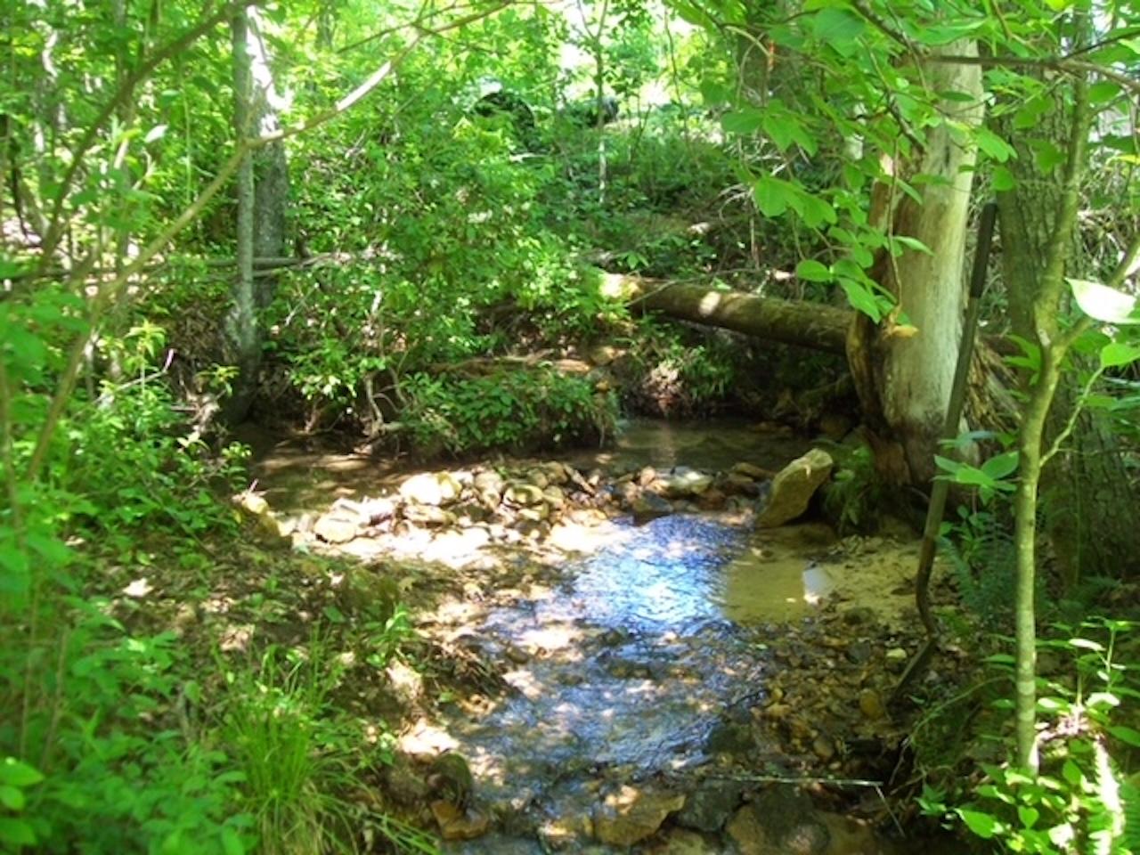 2504 Steve Brown Road Bean Station, TN 37708 - Photo 10 of 14 Stream2