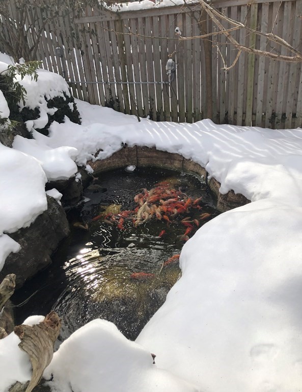 84 Overlook Road Arlington, MA 02474 - Photo 29 of 30