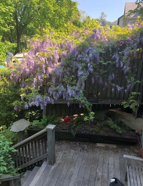 84 Overlook Road Arlington, MA 02474 - Photo 30 of 30