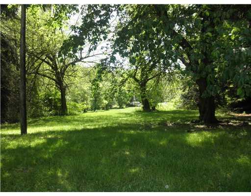 3795 Tuscarawas Road Beaver, PA 15009 - Photo 3 of 3 Yard/Garden.