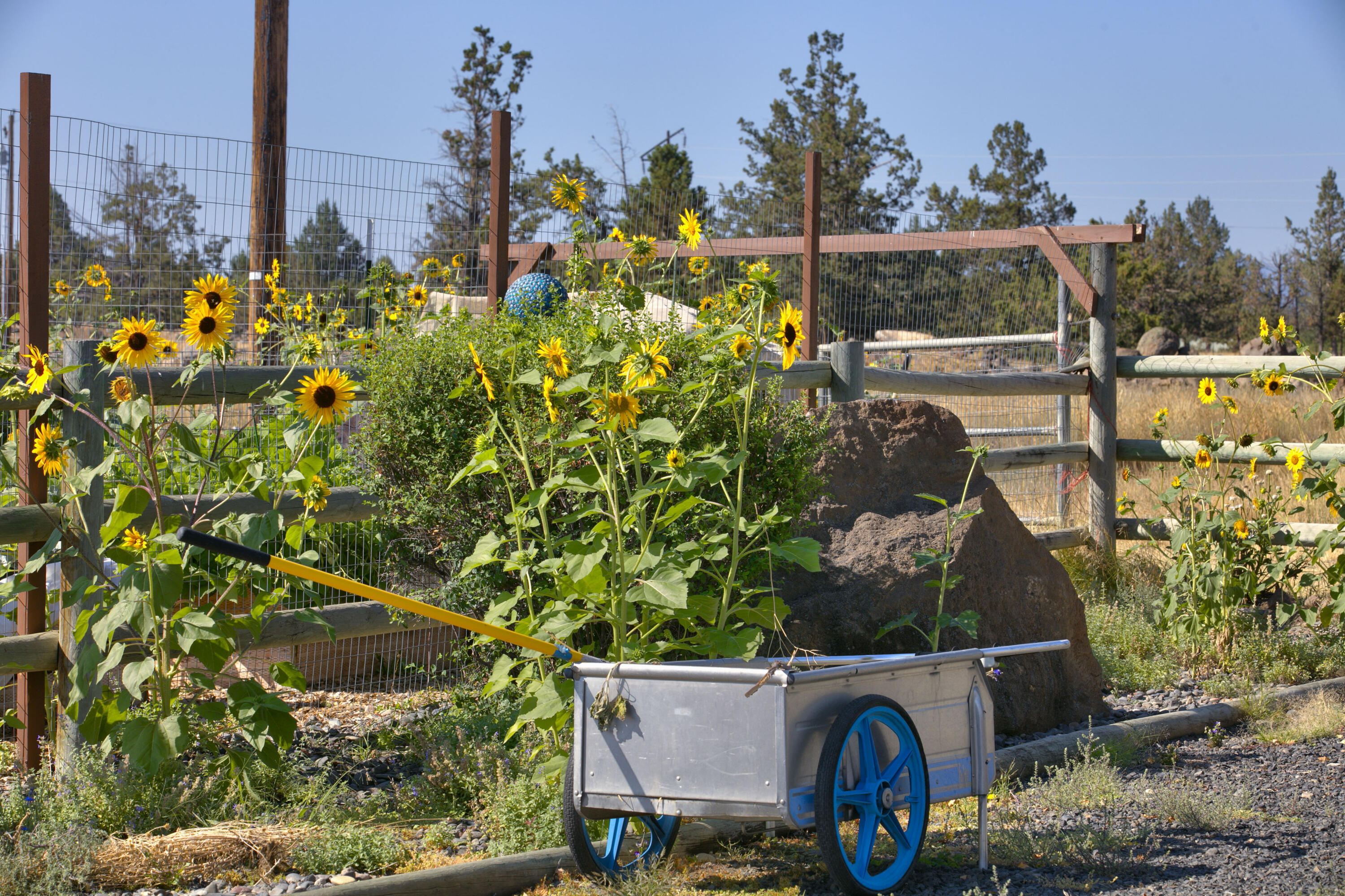 20155 Marsh Road Bend, OR 97703 - Photo 37 of 39 a picture of a city view
