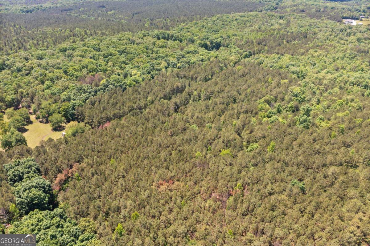 0 Timberwood Road Northwest, Unit 4 White, GA 30184 - Photo 11 of 26 a close up of a plant
