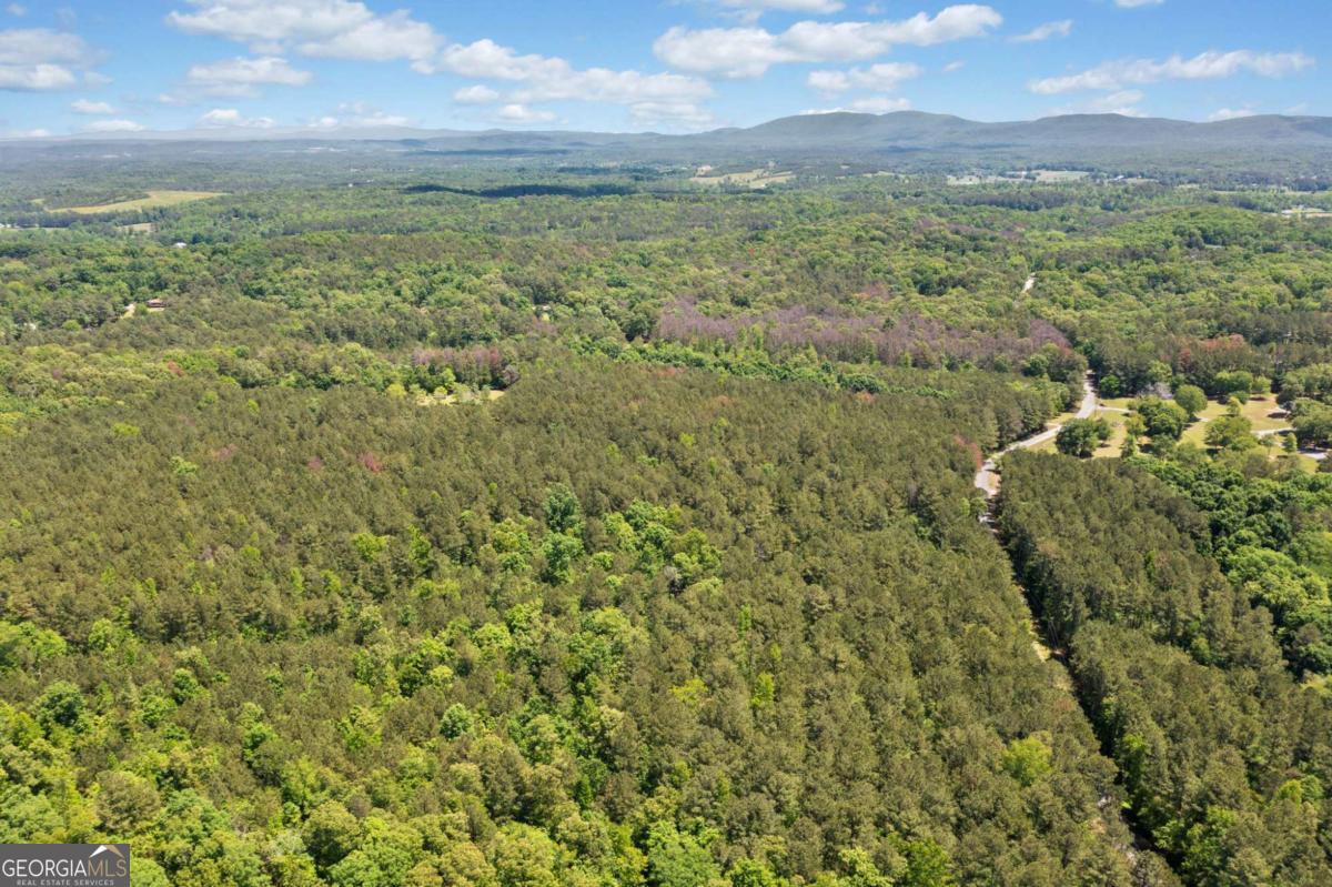 0 Timberwood Road Northwest, Unit 4 White, GA 30184 - Photo 16 of 26 a view of a field with an trees
