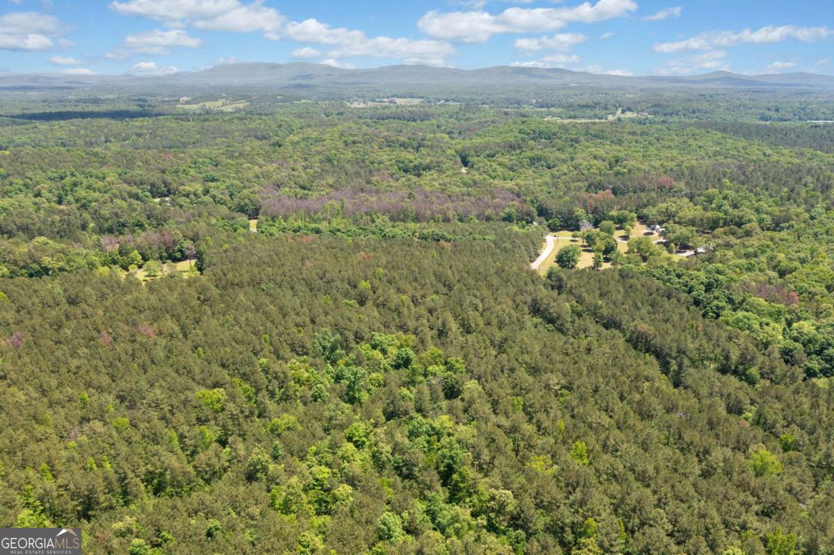 0 Timberwood Road Northwest, Unit 4 White, GA 30184 - Photo 17 of 26 a view of a field with an trees