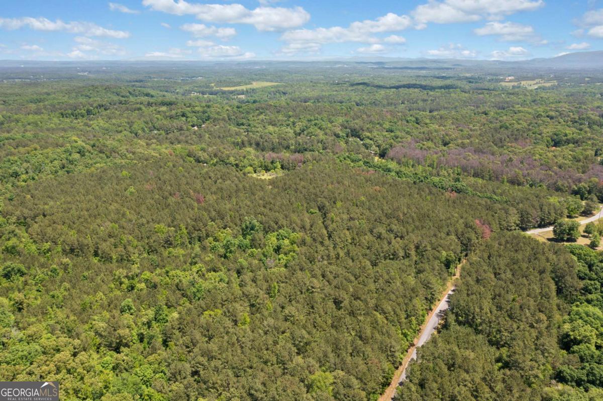 0 Timberwood Road Northwest, Unit 4 White, GA 30184 - Photo 19 of 26 a view of a field with an trees