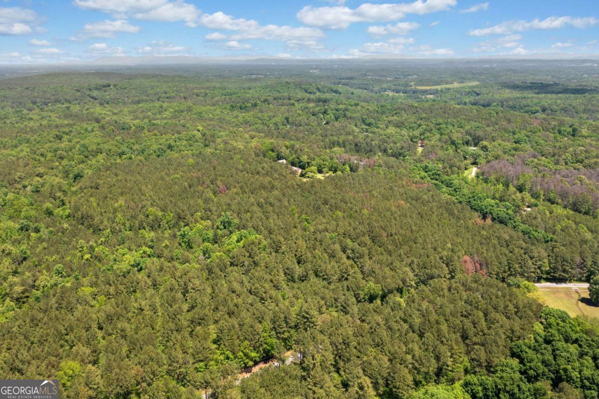 0 Timberwood Road Northwest, Unit 4 White, GA 30184 - Photo 21 of 26 a view of a green field with lots of bushes