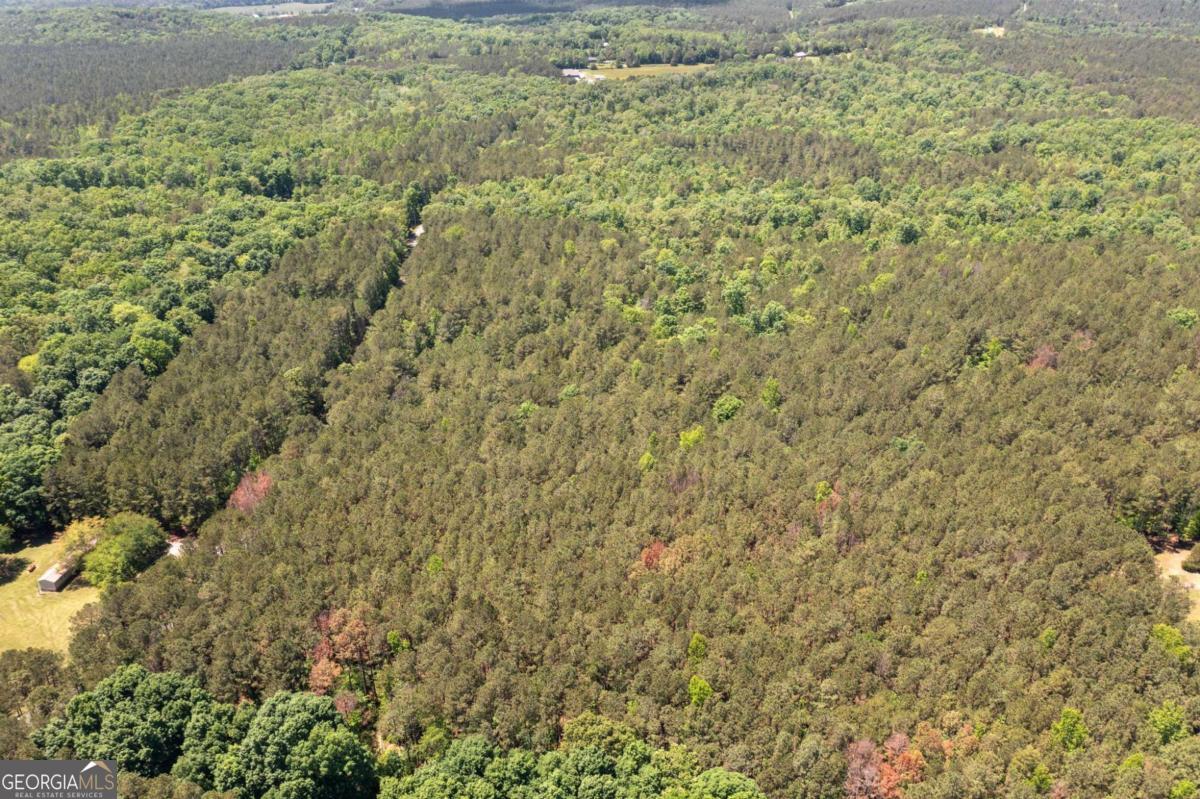 0 Timberwood Road Northwest, Unit 4 White, GA 30184 - Photo 9 of 26 a close up of a plant in a yard