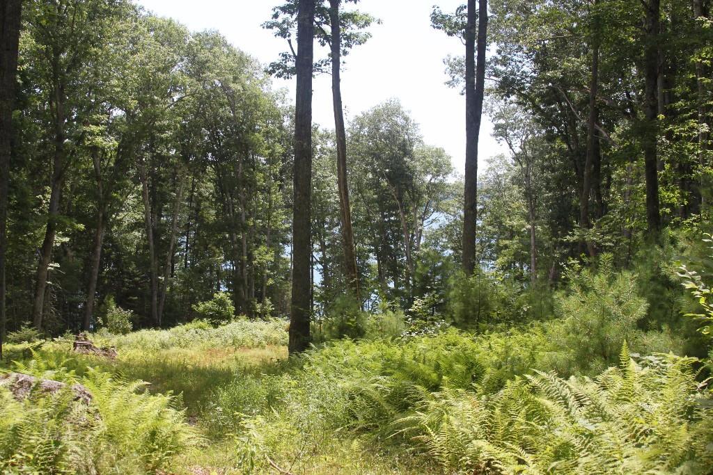 0 Emerson Farm Road Edgecomb, ME 04556 - Photo 4 of 21 Photo