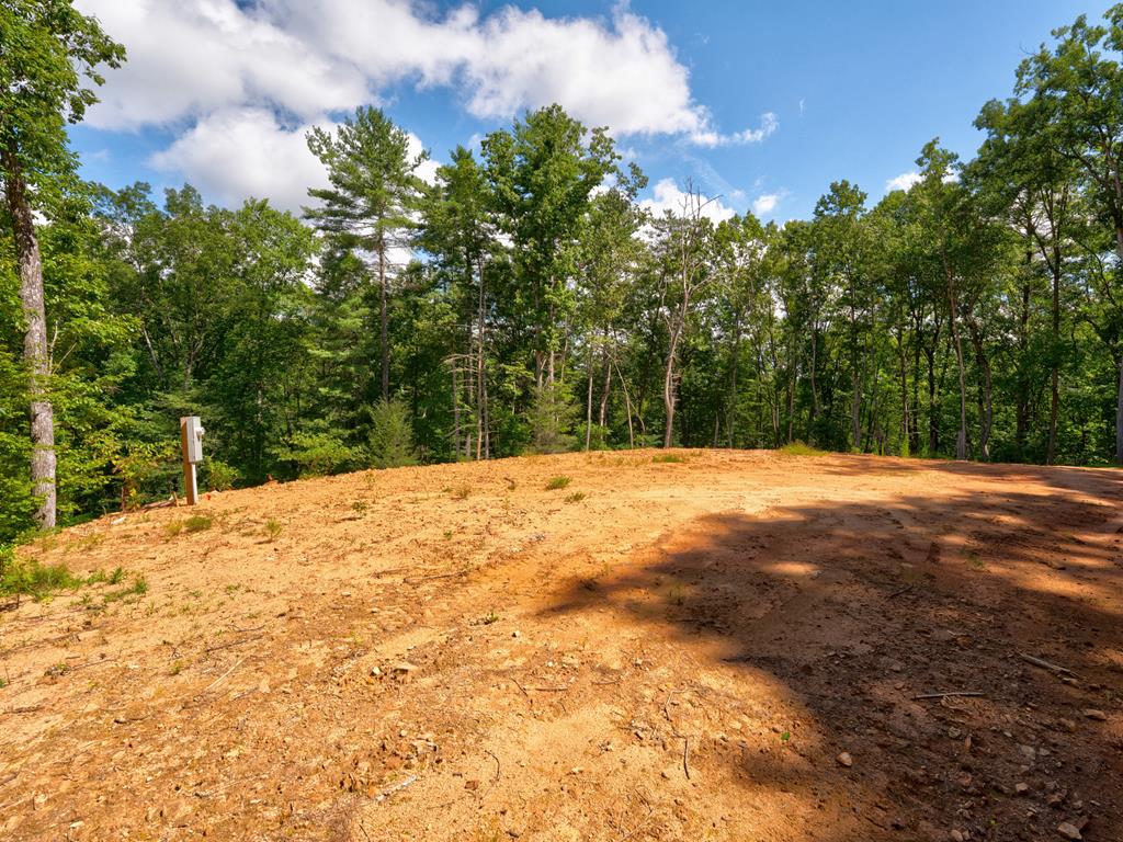 2039 Crowe Road Murphy, NC 28906 - Photo 9 of 36 Gallery Image 9
