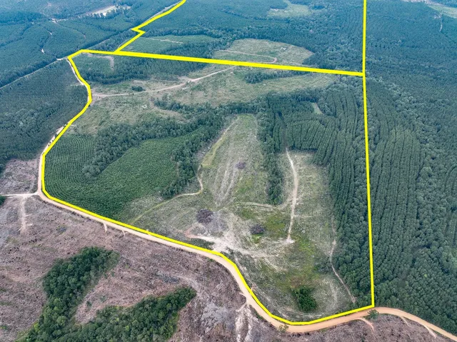 a view of a swimming pool with a yard and plants