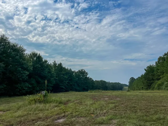 a view of an outdoor space and yard