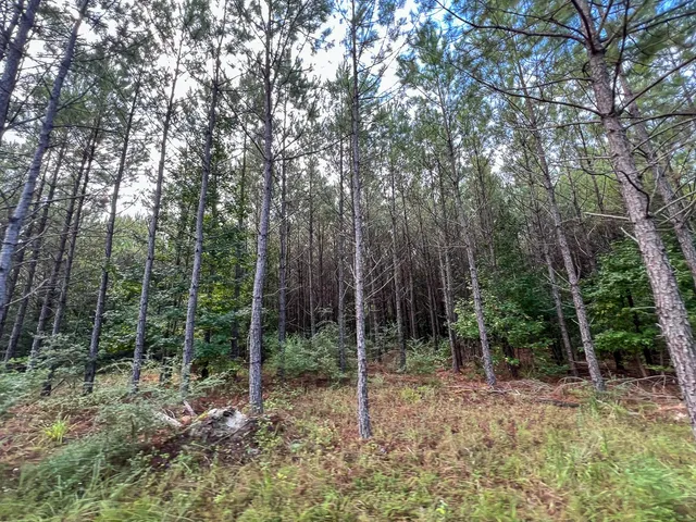 a view of outdoor space and trees