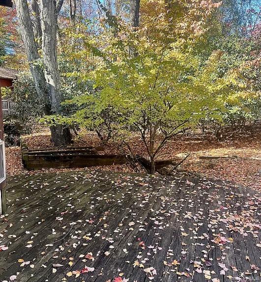 11 Lomond Avenue Chestnut Ridge, NY 10977 - Photo 8 of 8