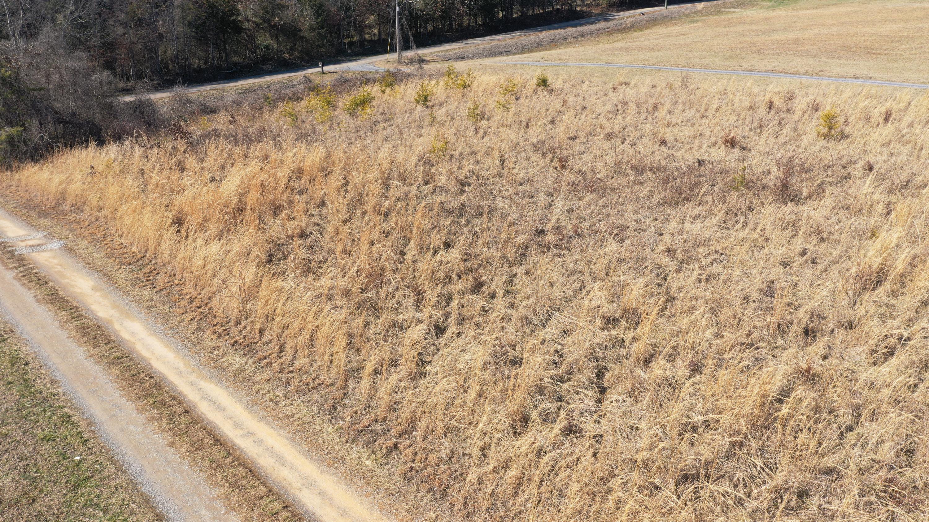 Ailey Road Dandridge, TN 37725 - Photo 6 of 9 0574