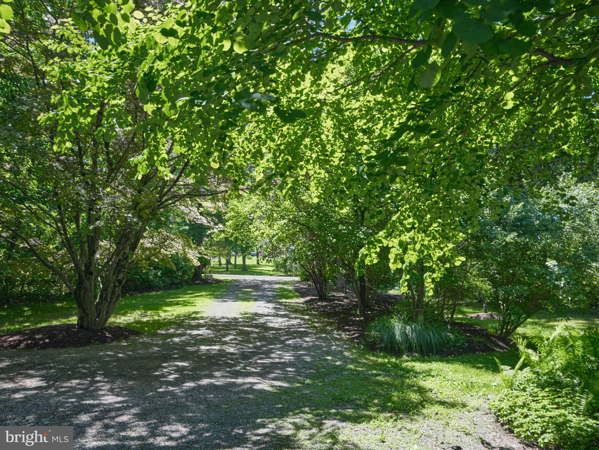 4 Low Road New Hope, PA 18938 - Photo 29 of 30 Driveway