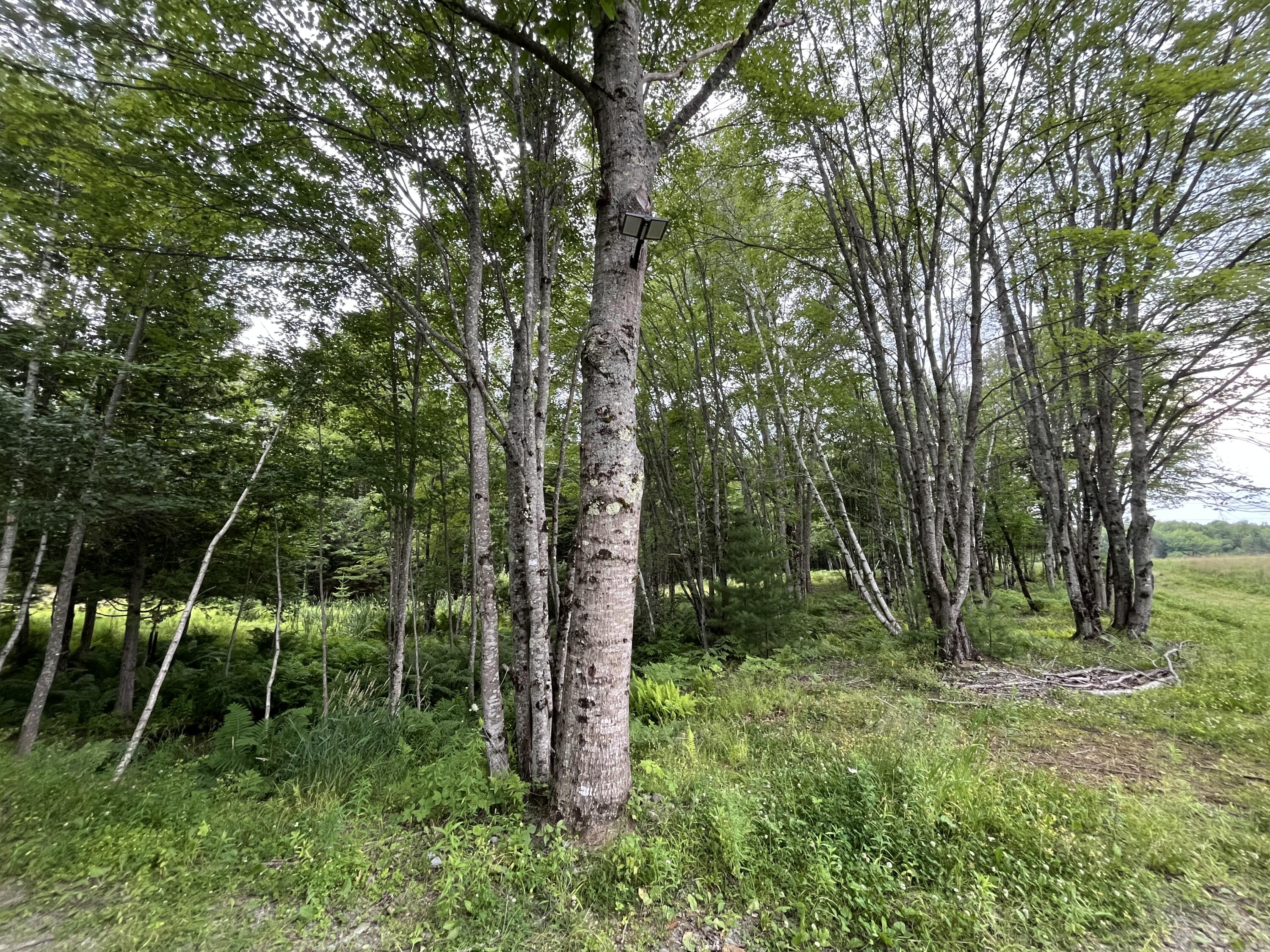 101 Sitka Way Norridgewock, ME 04957 - Photo 9 of 17 IMG_7213