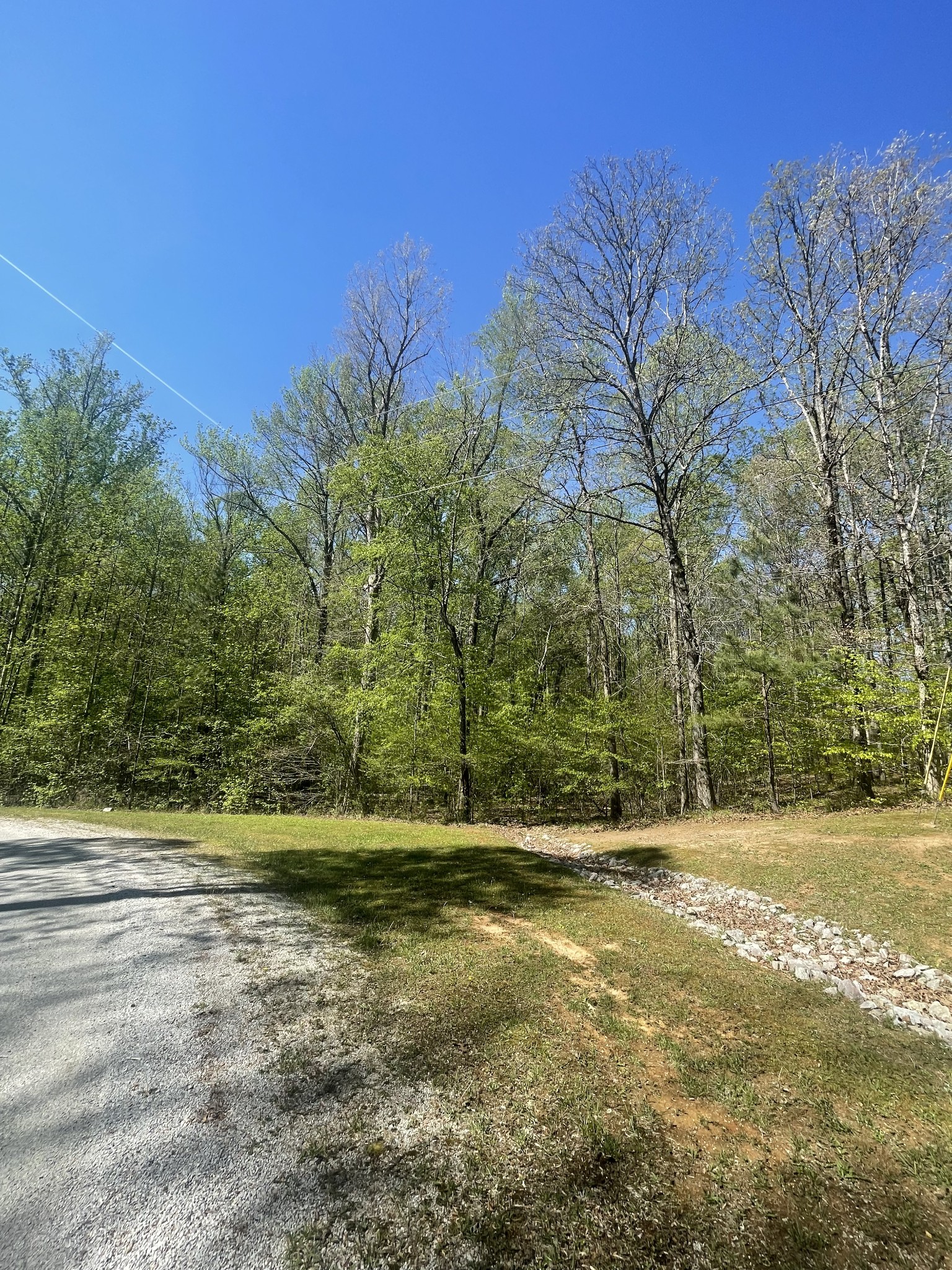 389 Excalibur Trail Cedar Grove, TN 38321 - Photo 3 of 5 a backyard of a house with lots of green space
