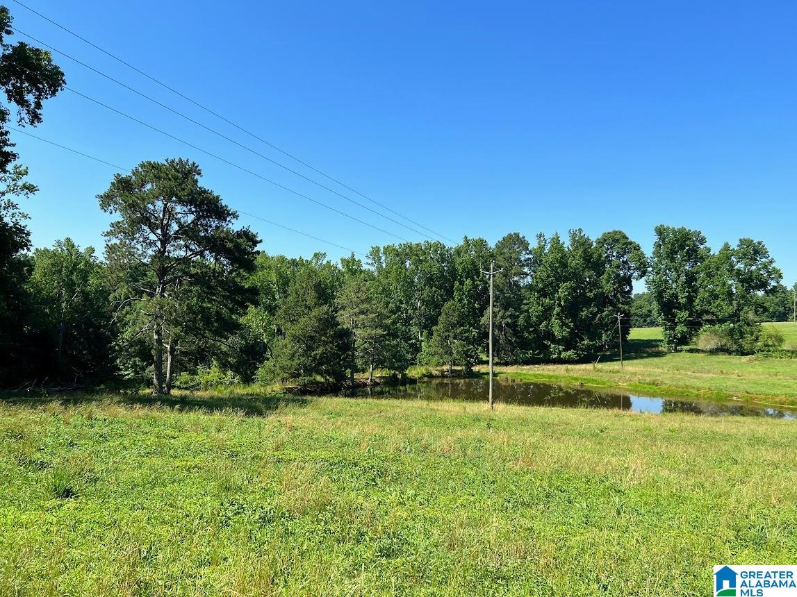 0 County Road 10, Unit X Ranburne, AL 36273 - Photo 17 of 32