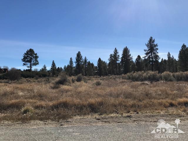 45 Devils Ladder Road Mountain Center, CA 92561 - Photo 1 of 2 Primary Photo