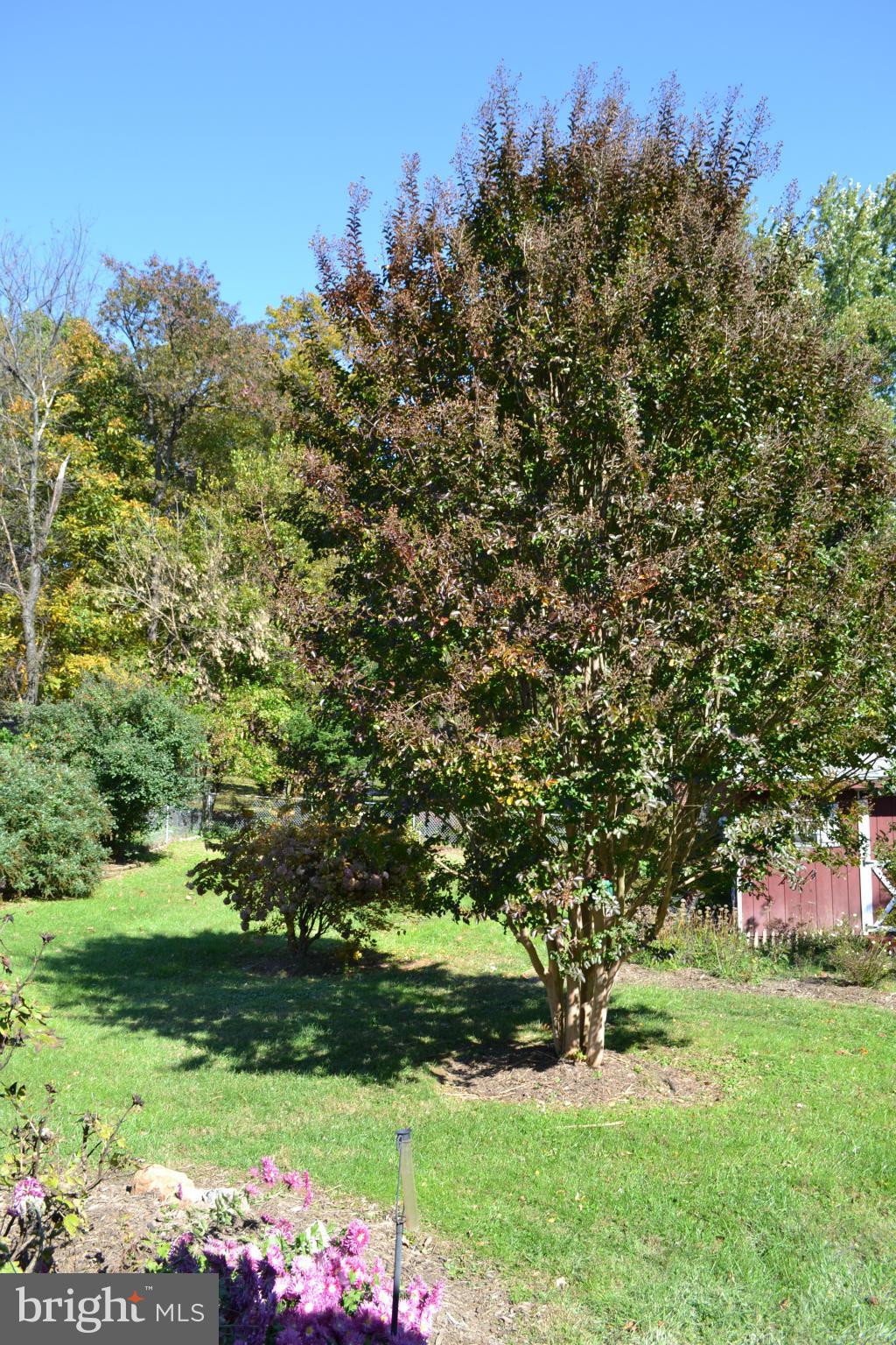 1730 Briggs Chaney Road Silver Spring, MD 20905 - Photo 28 of 30 Exterior (General)