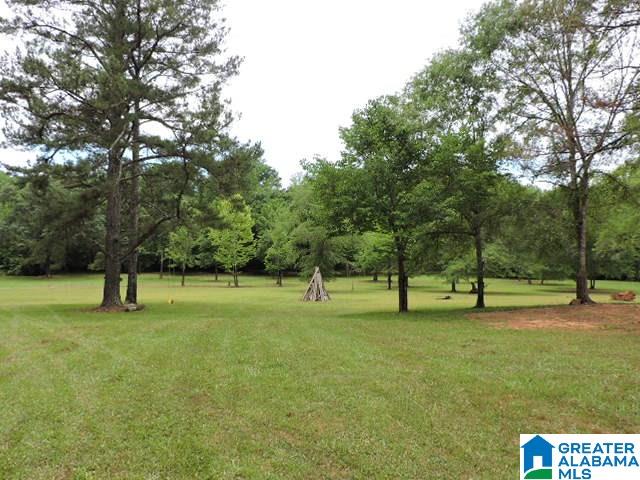 1328 Good Hope Delta Road Delta, AL 36258 - Photo 23 of 24