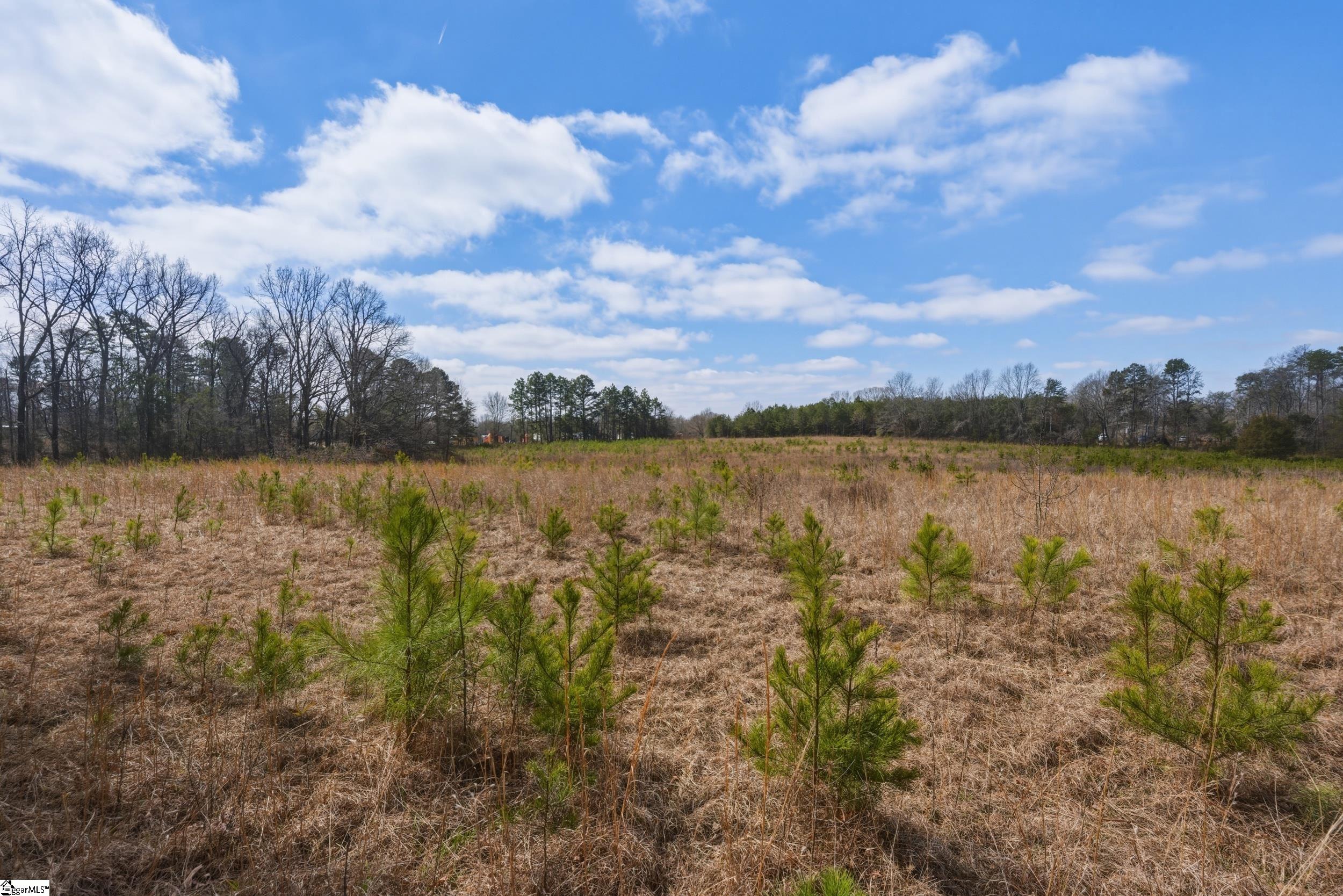 211 Hub Greer Road Chesnee, SC 29323 - Photo 1 of 9