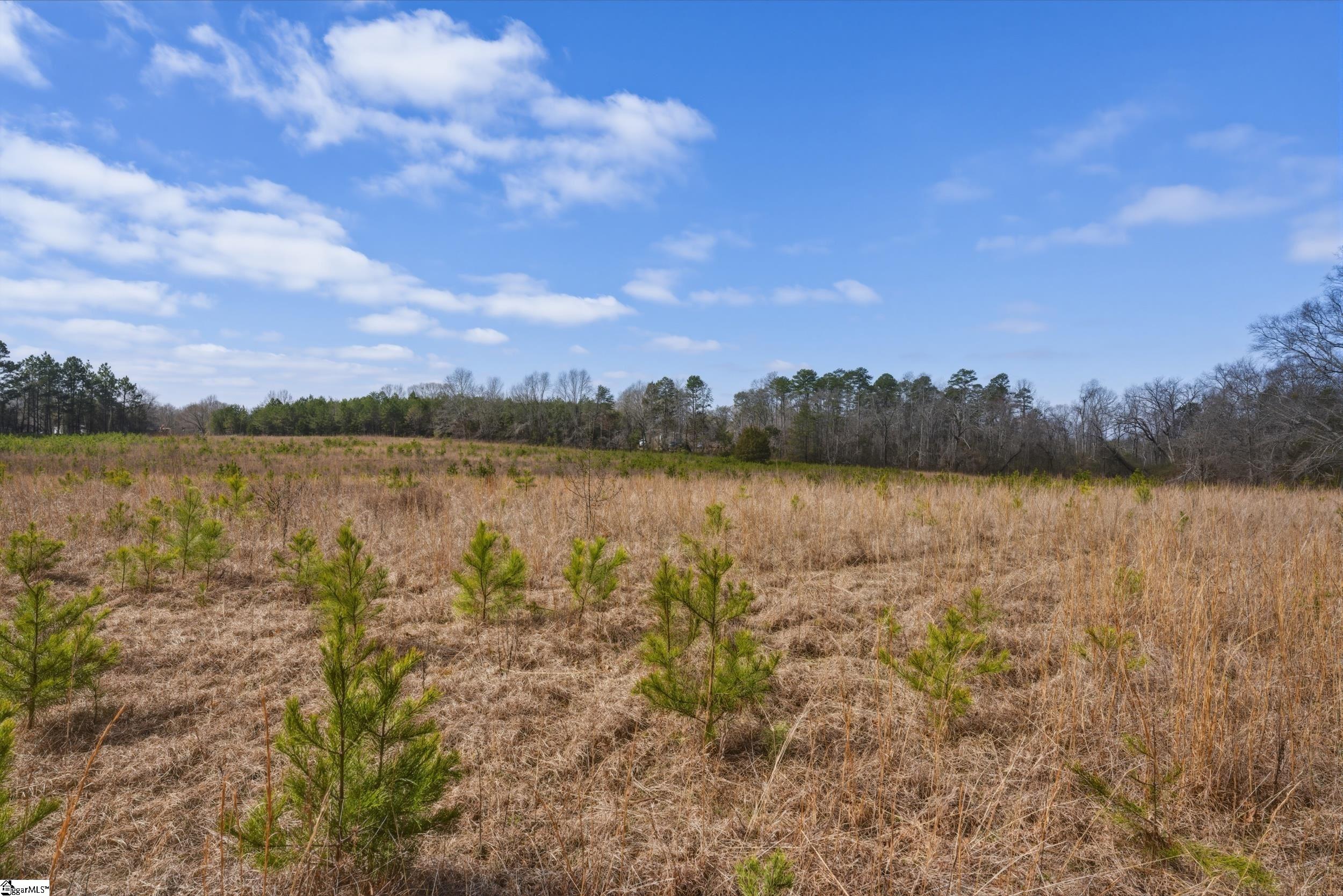 211 Hub Greer Road Chesnee, SC 29323 - Photo 7 of 9 Gallery Image 7