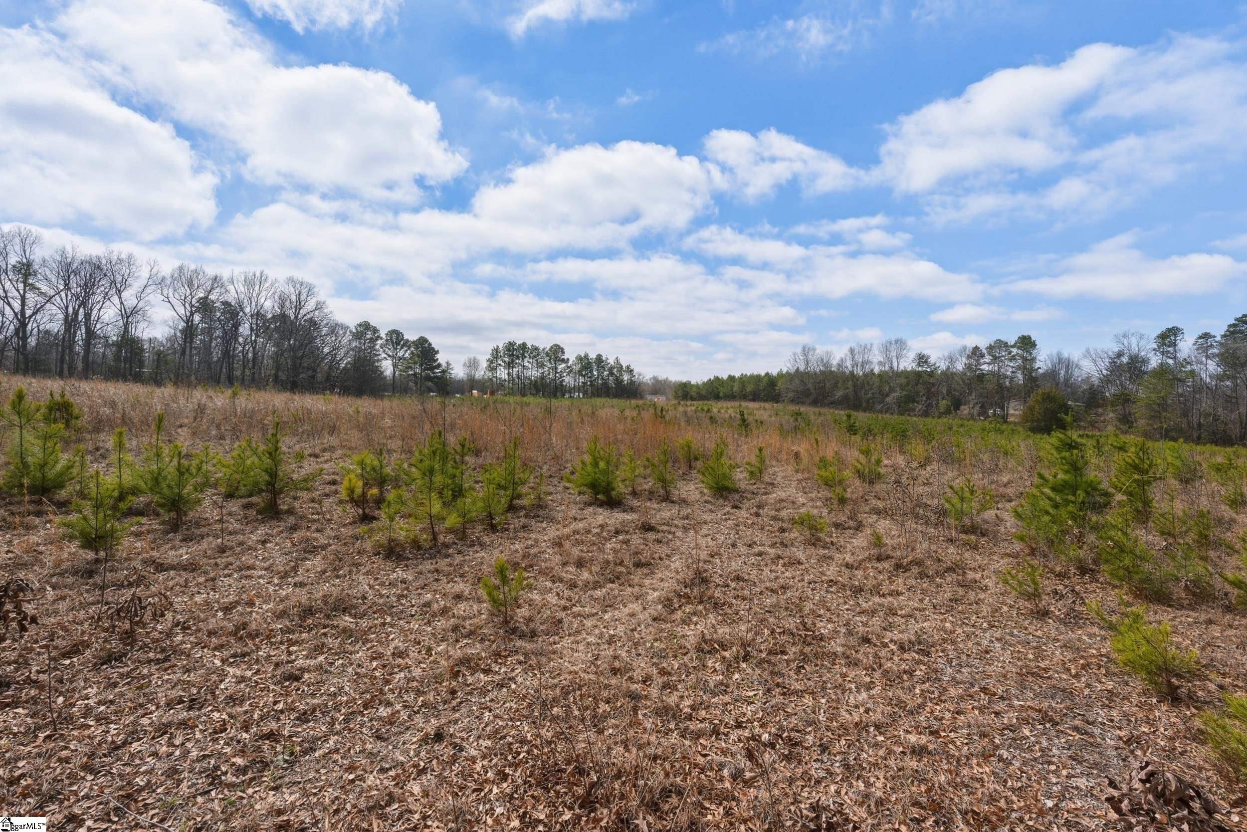 211 Hub Greer Road Chesnee, SC 29323 - Photo 8 of 9