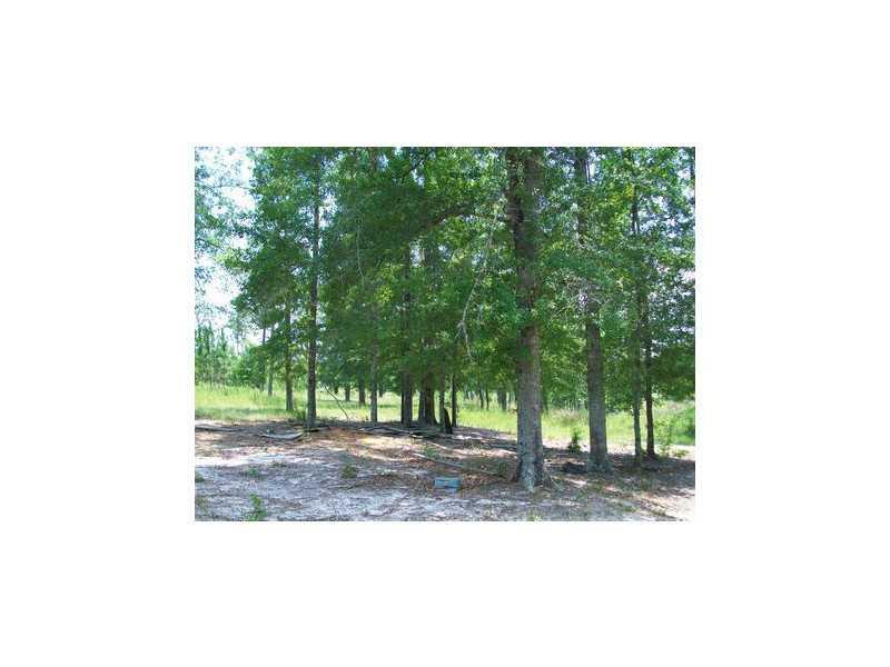 1250 Artesian Well Road Northwest Calhoun, GA 30701 - Photo 1 of 1 a view of a yard