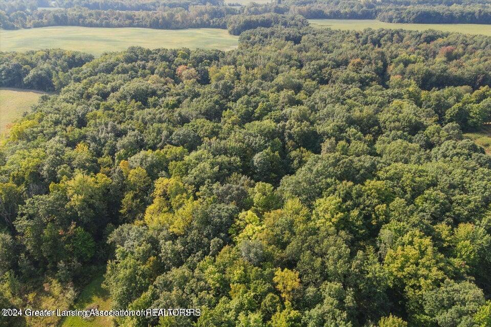 0 East Alward Road Dewitt, MI 48820 - Photo 4 of 5 4