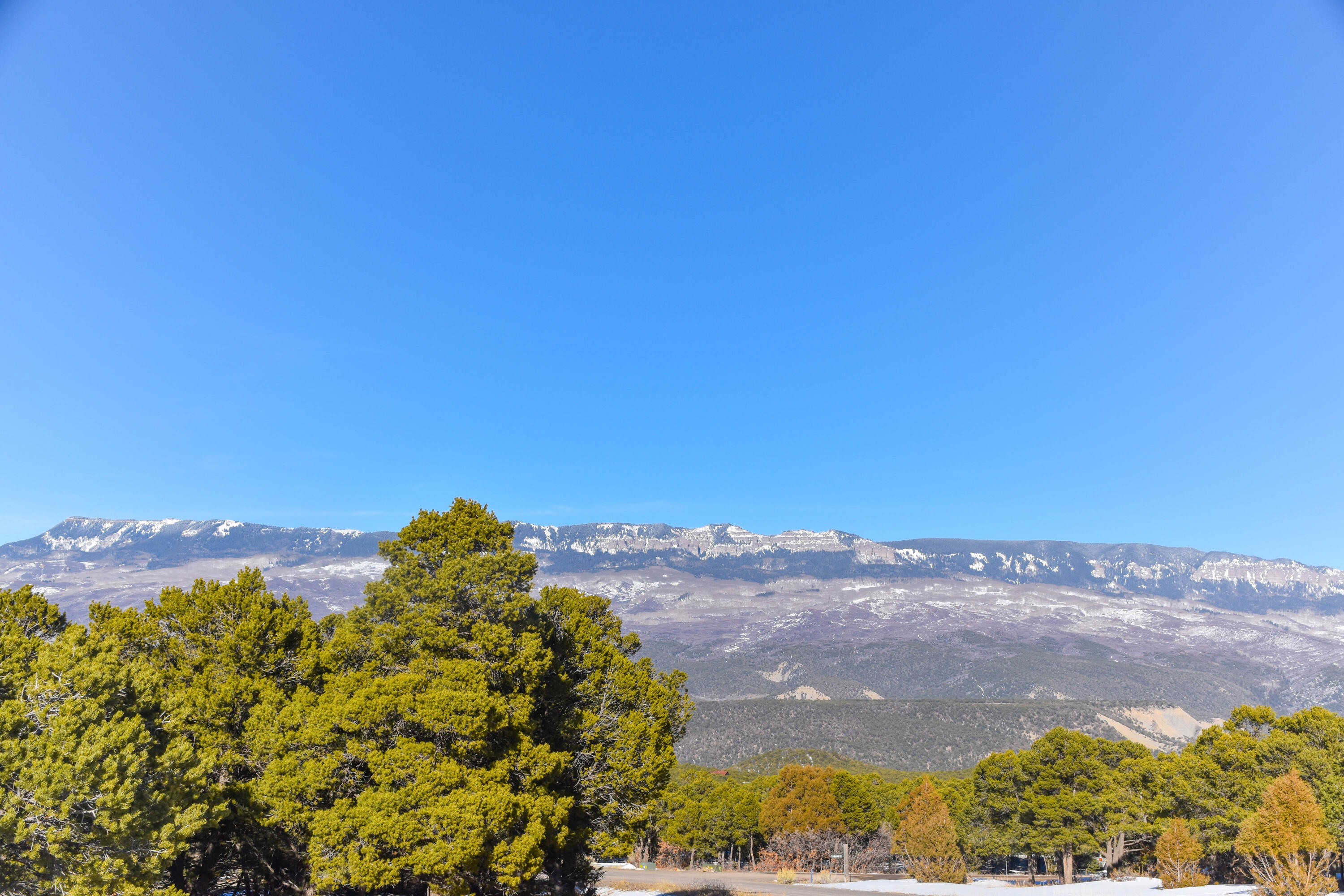 Tbd Tbd Pinon Ridgway, CO 81432 - Photo 8 of 25 g-9