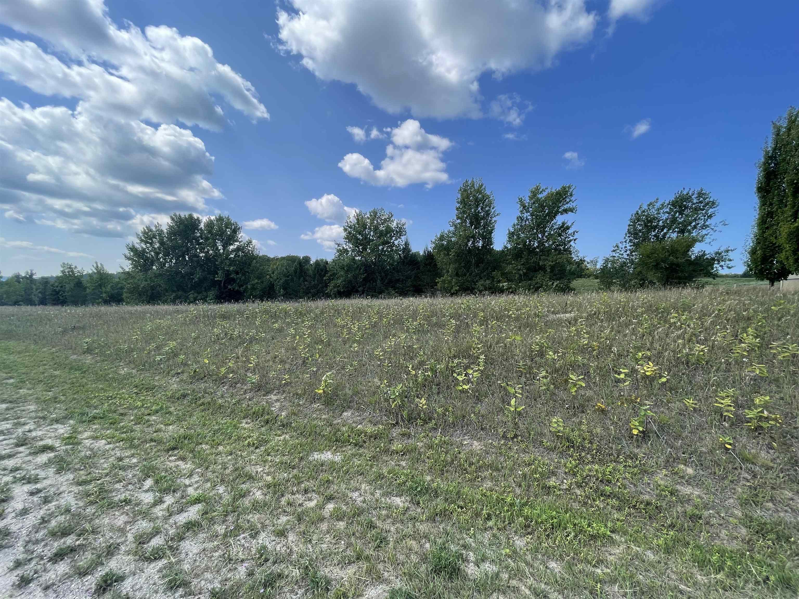 Lot 20 South Cedarview Cedar, MI 49621 - Photo 7 of 10 1915051-6.JPG