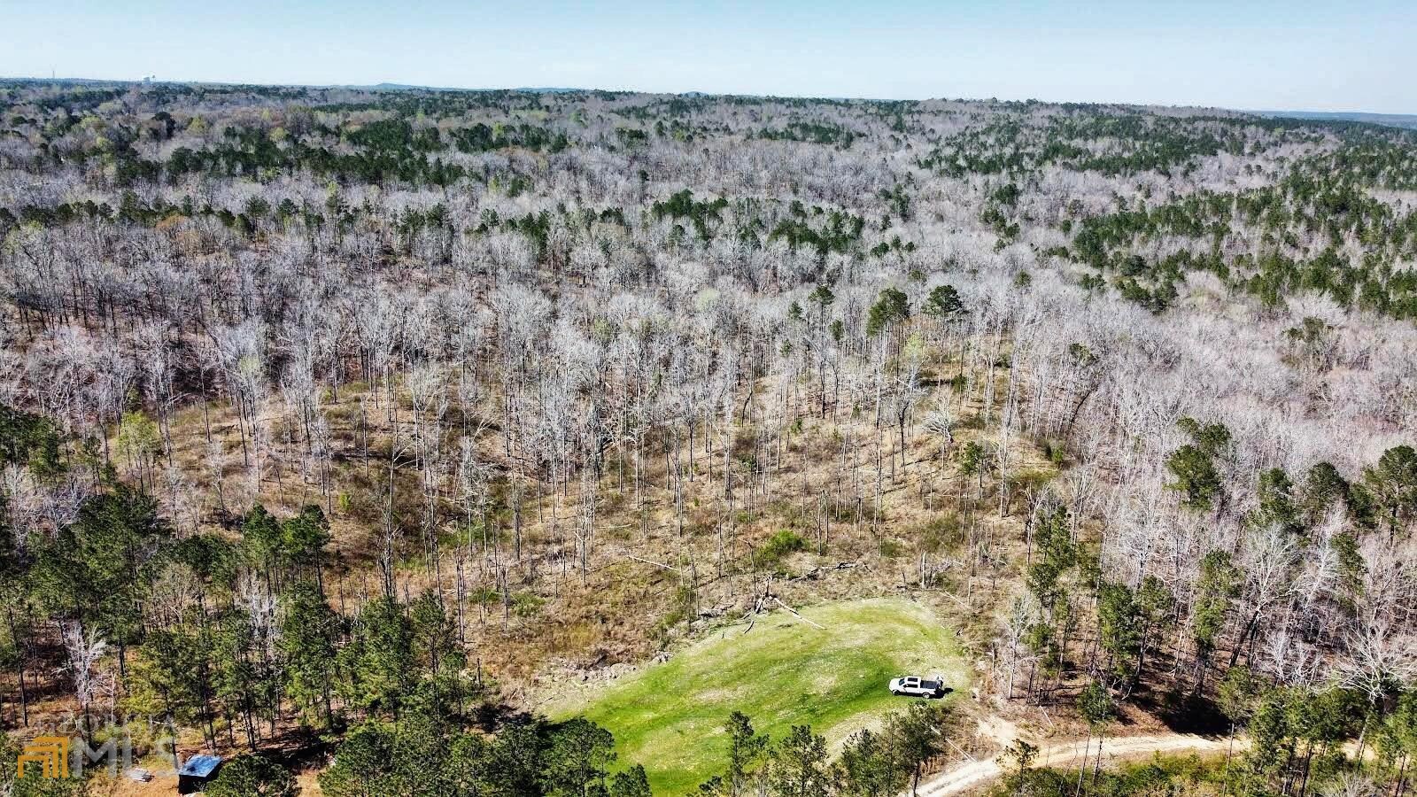0 County 326 Road Smiths Station, AL 36877 - Photo 1 of 1 a view of a covered with green space
