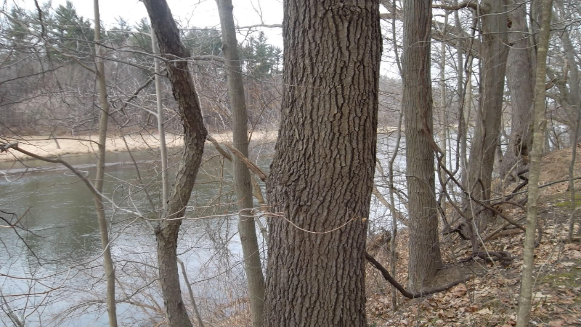584 Lincoln Road Otsego, MI 49078 - Photo 2 of 43 092