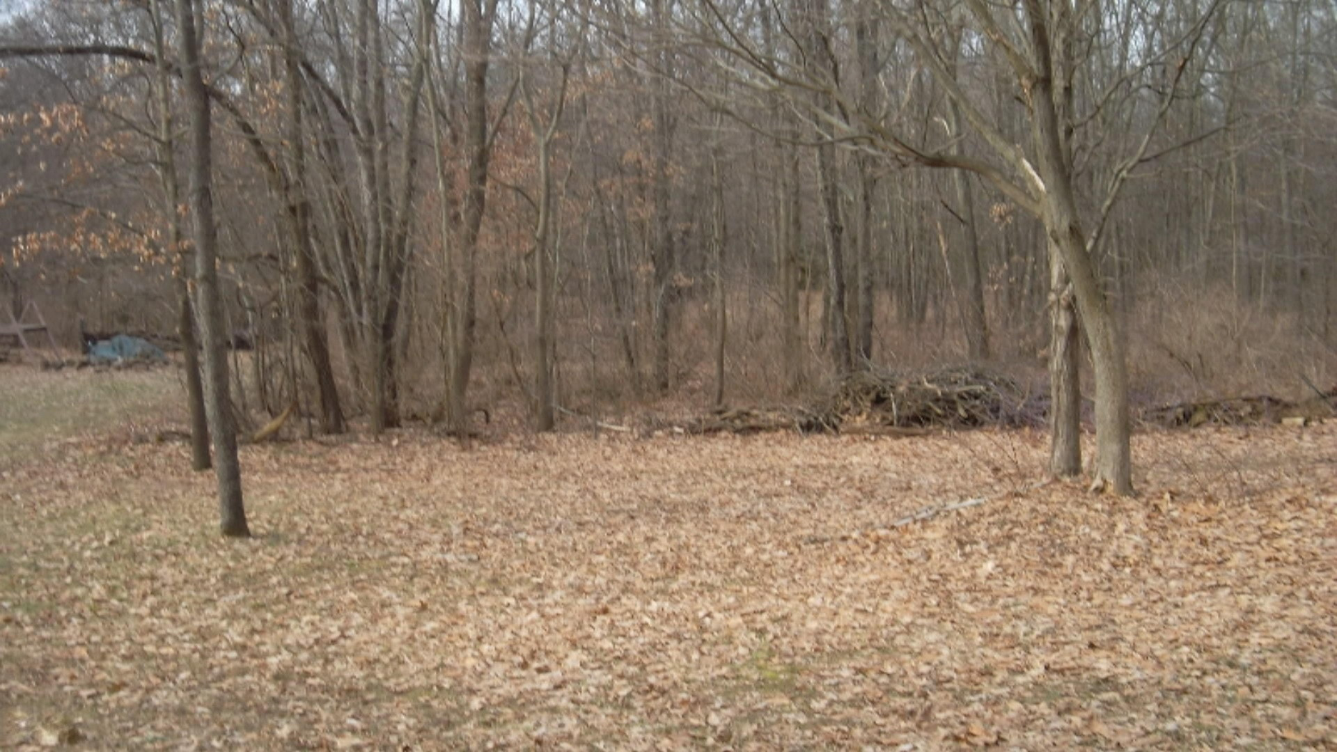584 Lincoln Road Otsego, MI 49078 - Photo 34 of 43 089